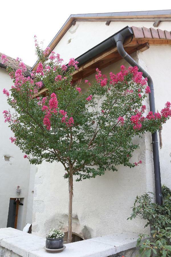 Le Manoir Bed & Breakfast Chaumont  Exterior photo